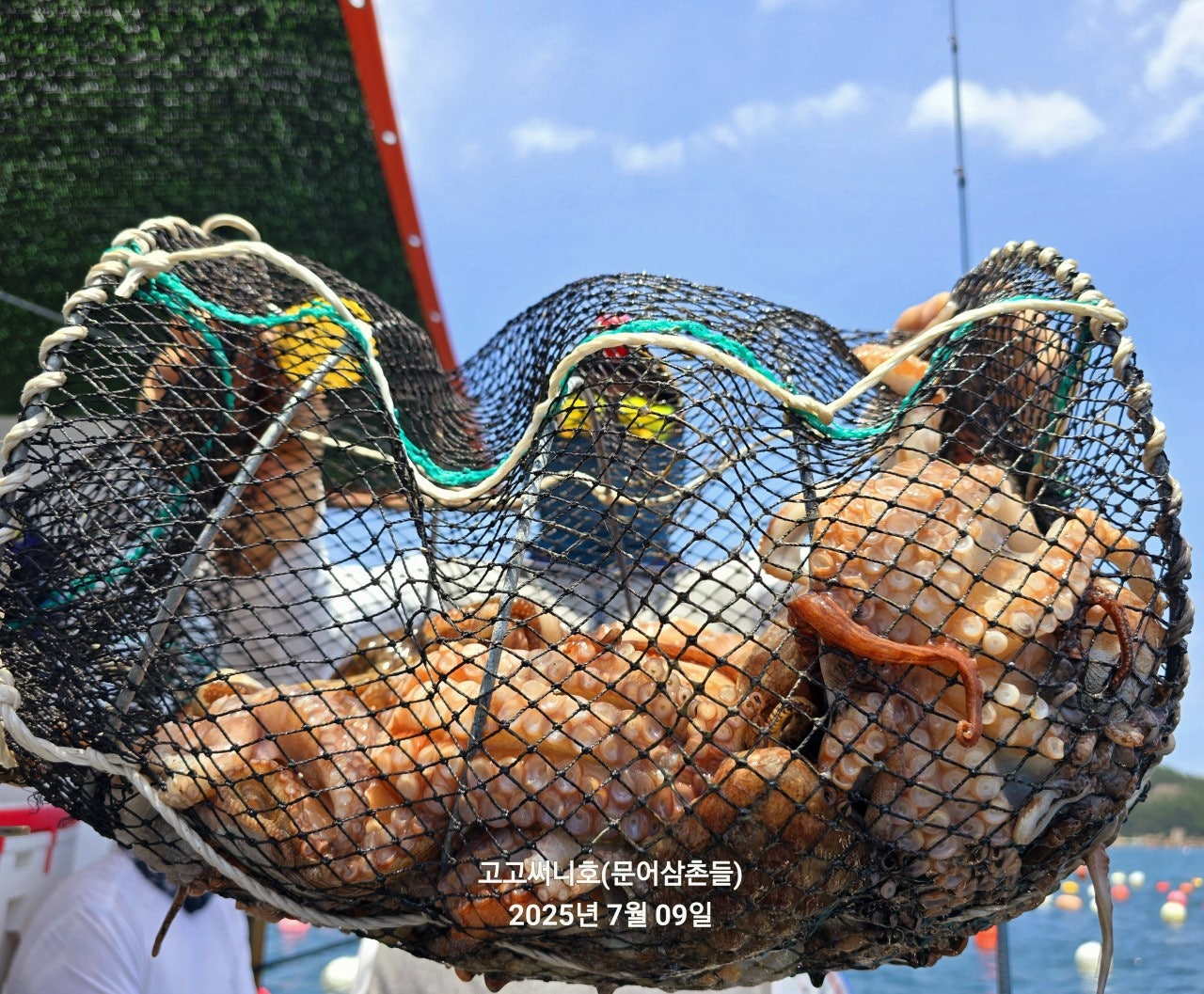 사용자가 올린 이미지