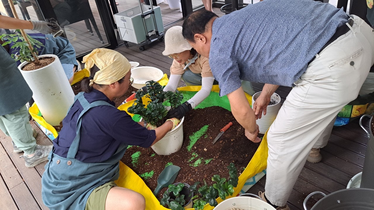 사용자가 올린 이미지