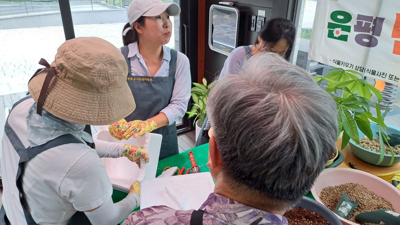 사용자가 올린 이미지