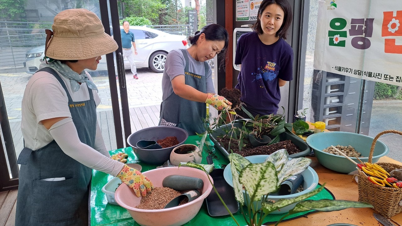 사용자가 올린 이미지