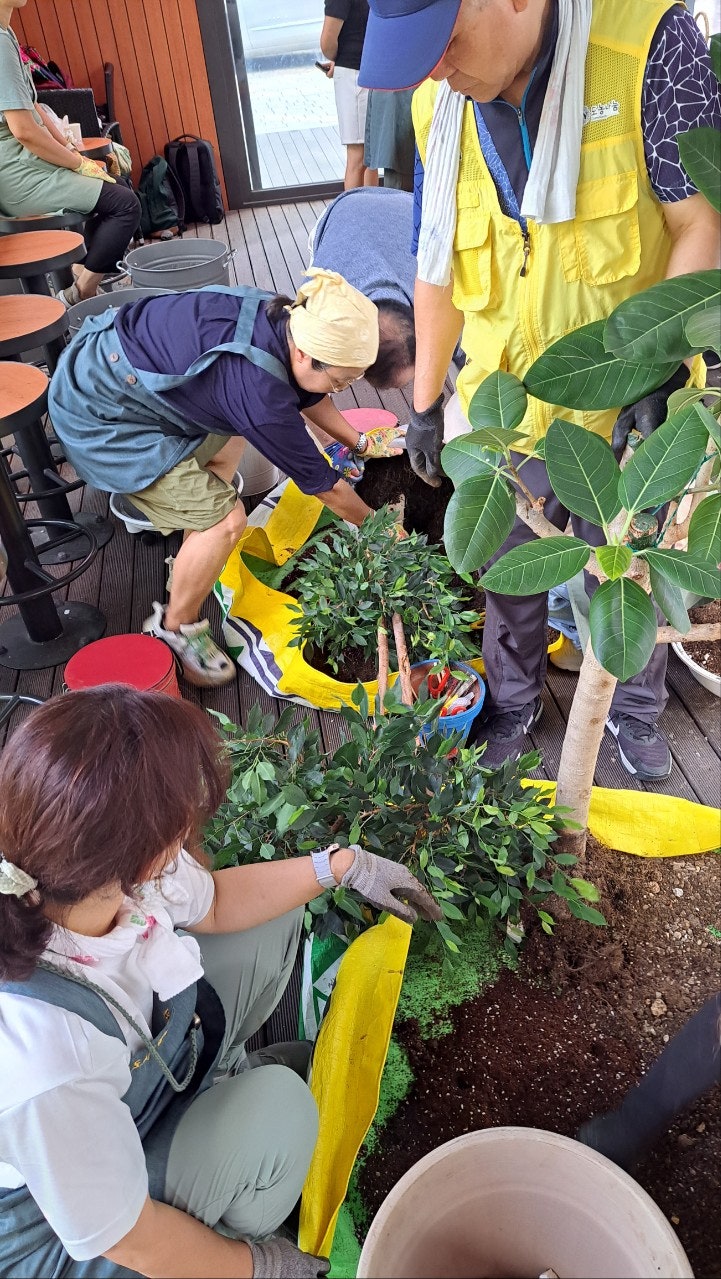 사용자가 올린 이미지