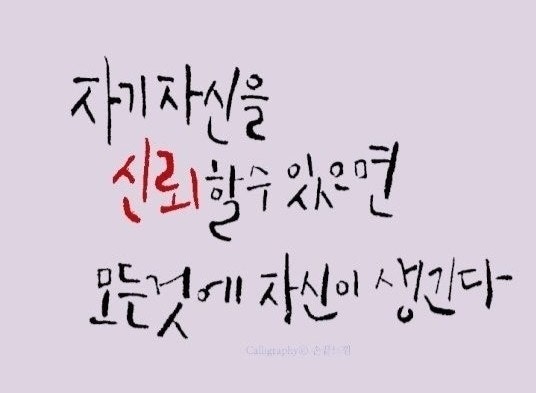 사용자가 올린 이미지