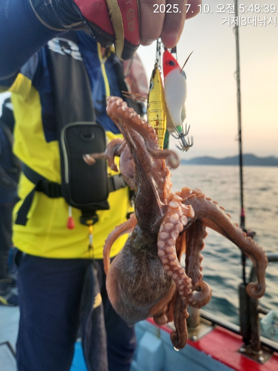 사용자가 올린 이미지
