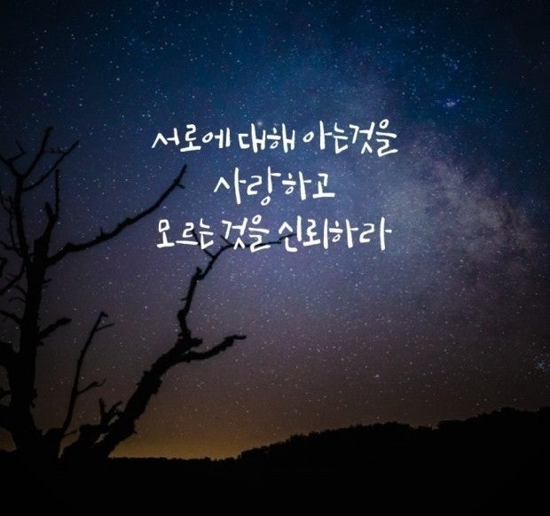 사용자가 올린 이미지