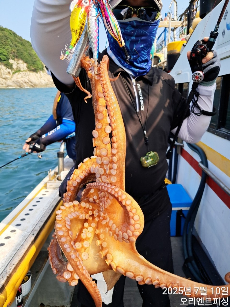 사용자가 올린 이미지