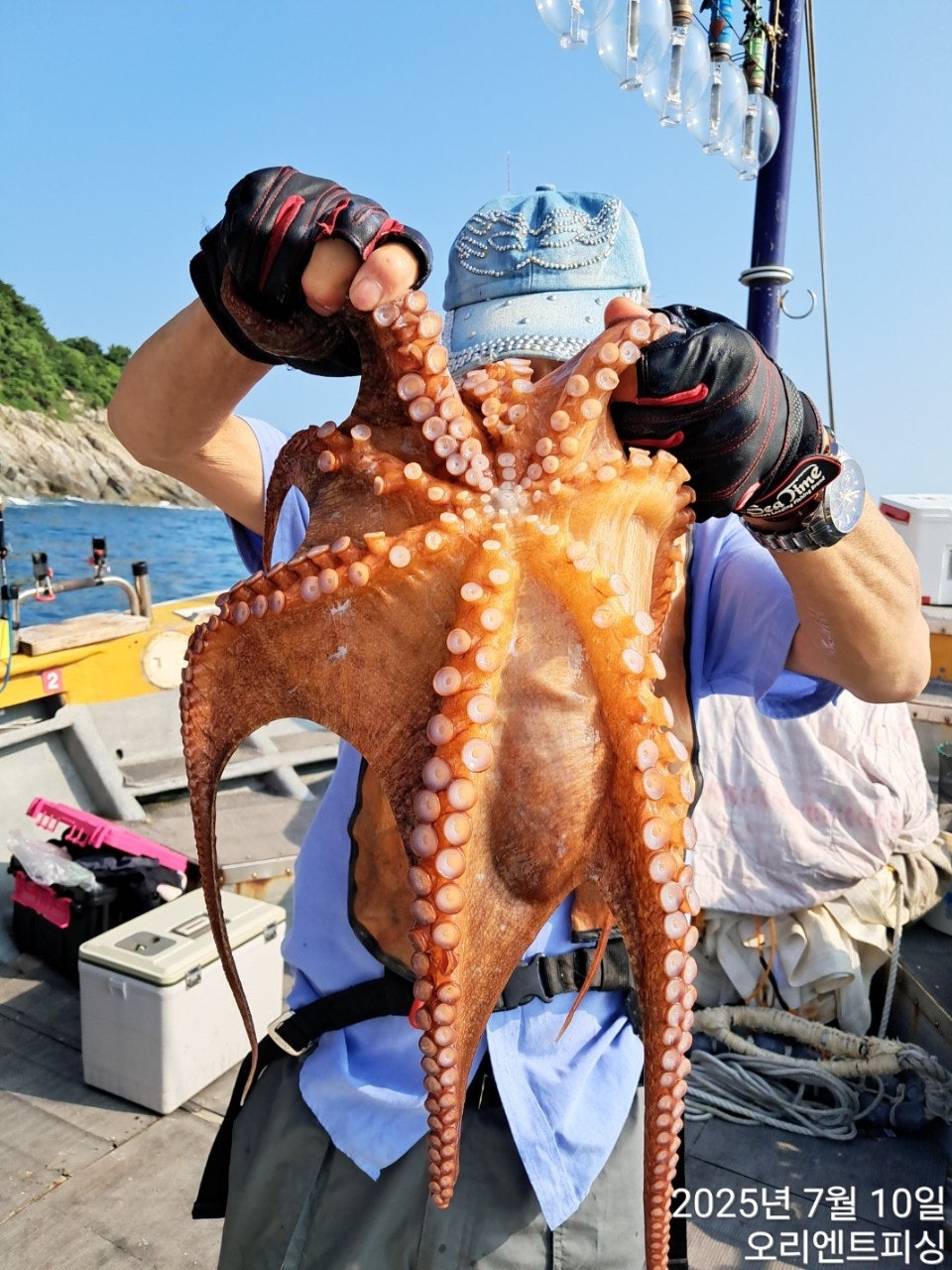사용자가 올린 이미지