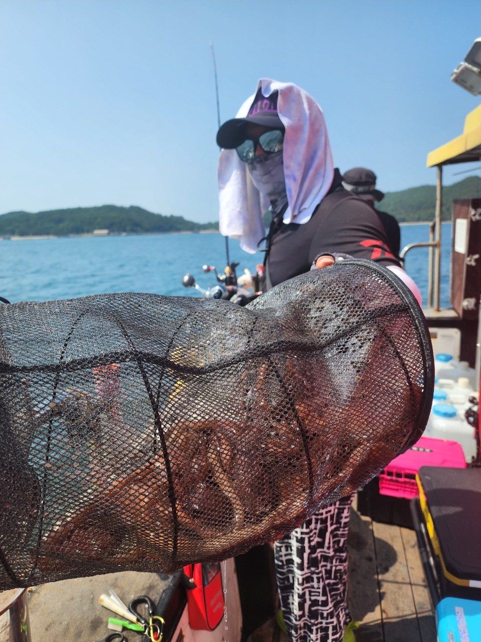 사용자가 올린 이미지