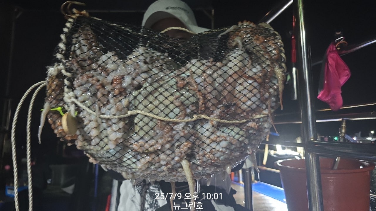 ڰ ø ̹
