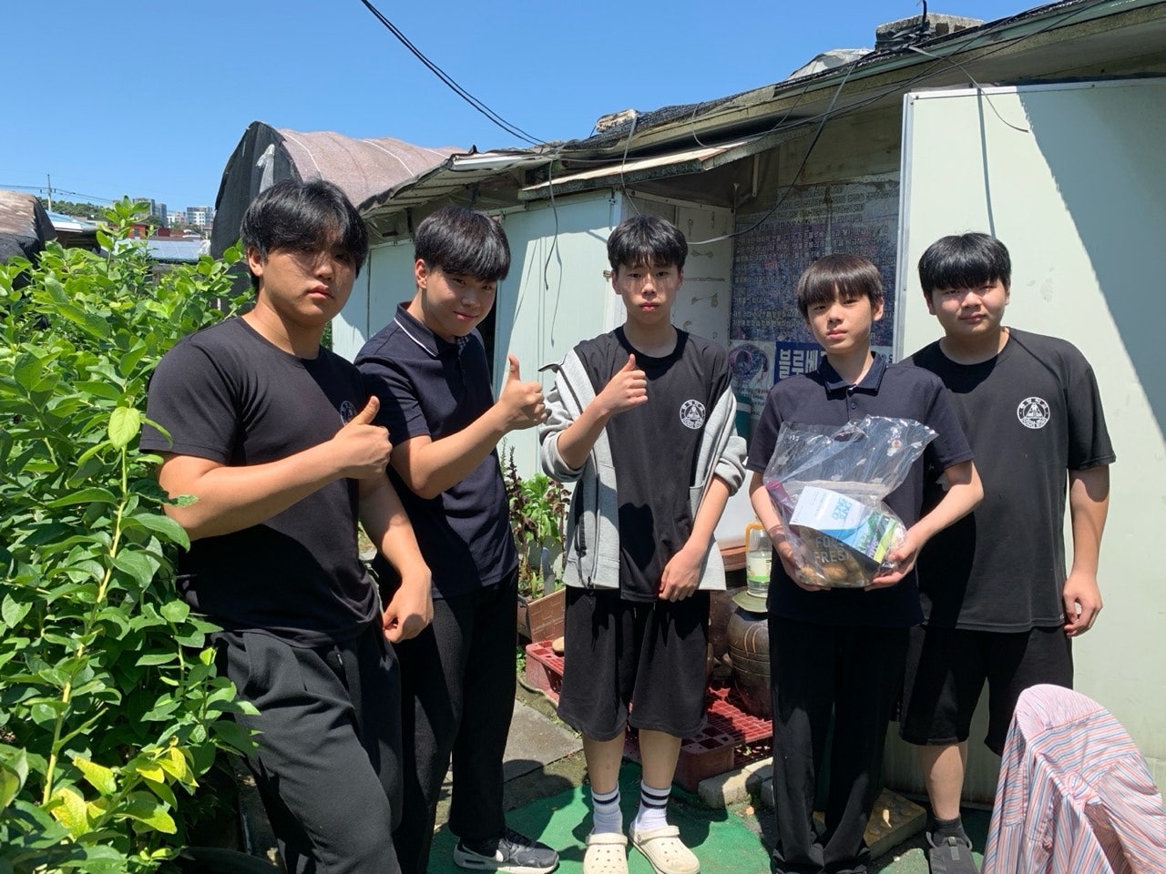 사용자가 올린 이미지
