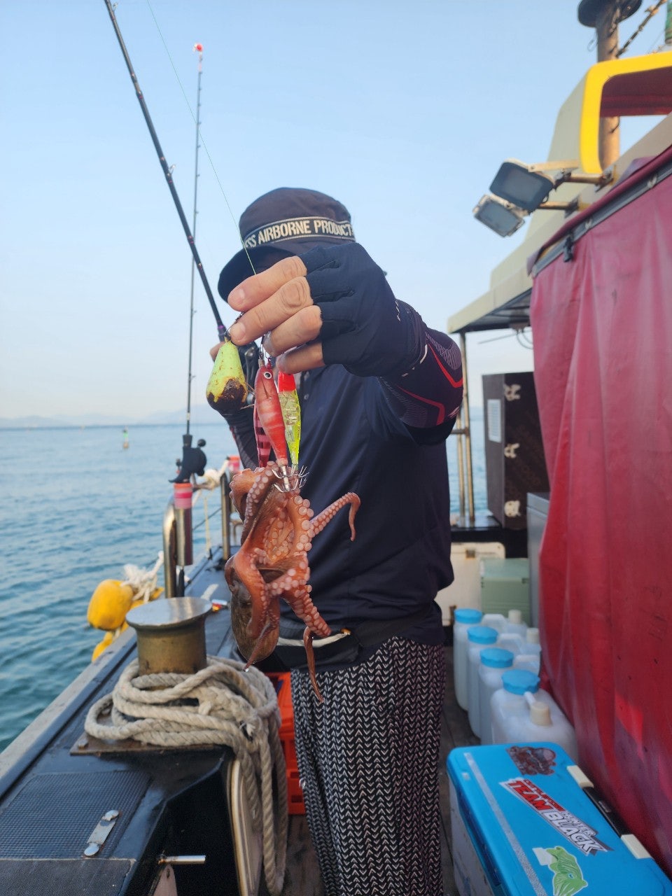 사용자가 올린 이미지