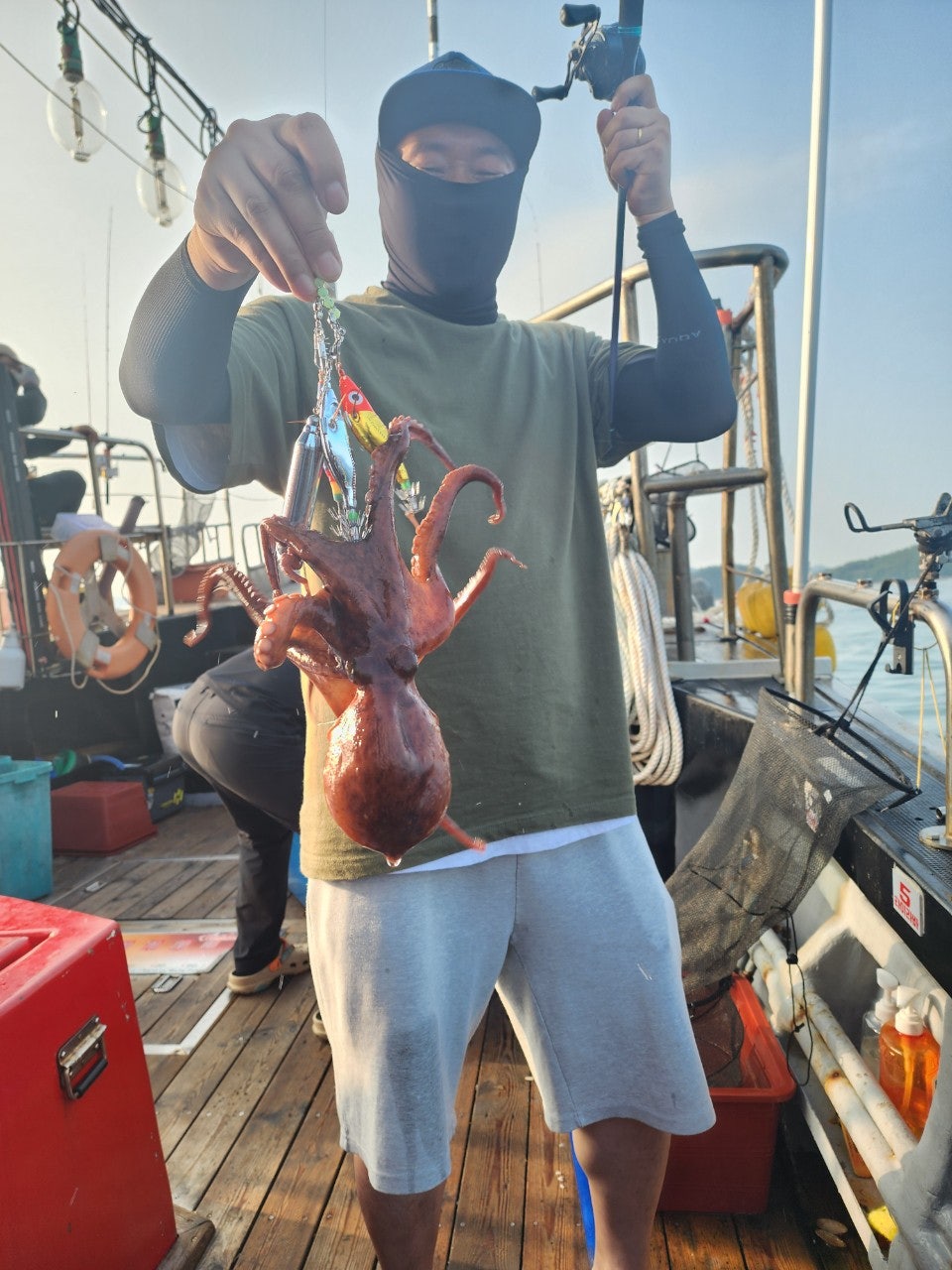 사용자가 올린 이미지