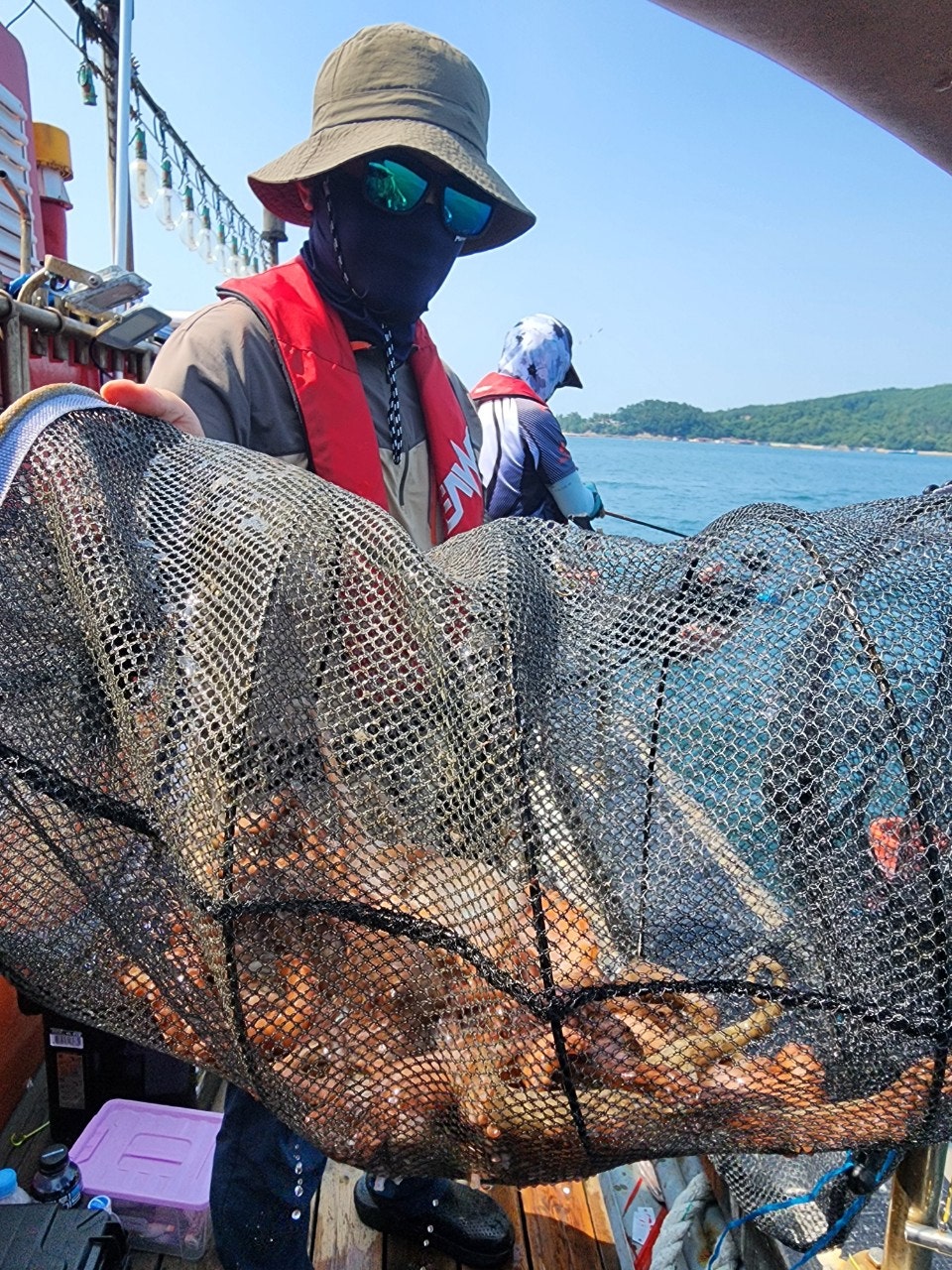 사용자가 올린 이미지