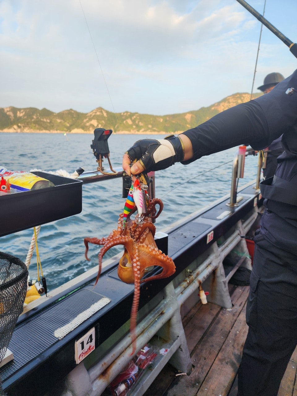 사용자가 올린 이미지