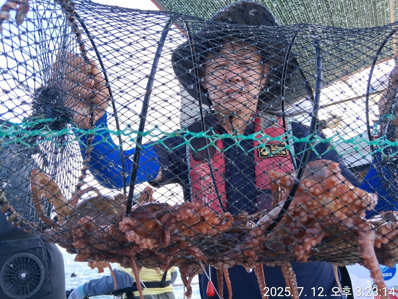 사용자가 올린 이미지