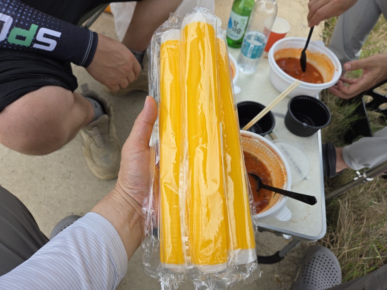 사용자가 올린 이미지