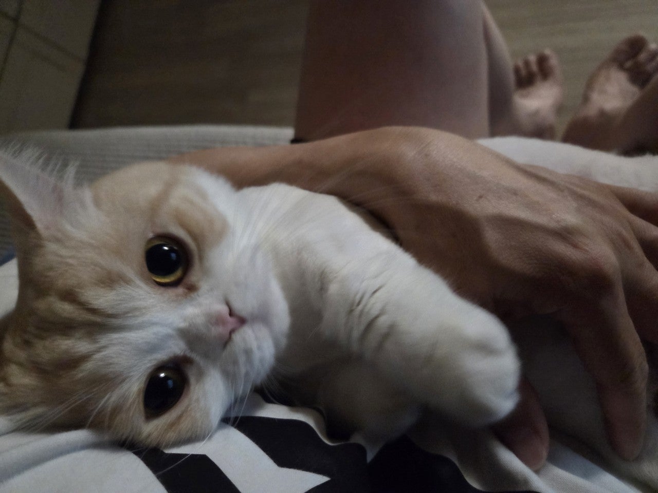 사용자가 올린 이미지