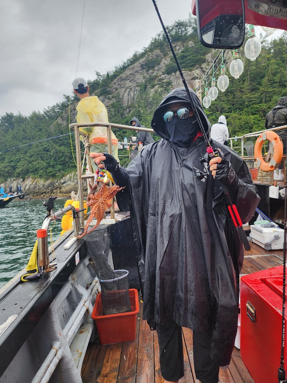 사용자가 올린 이미지