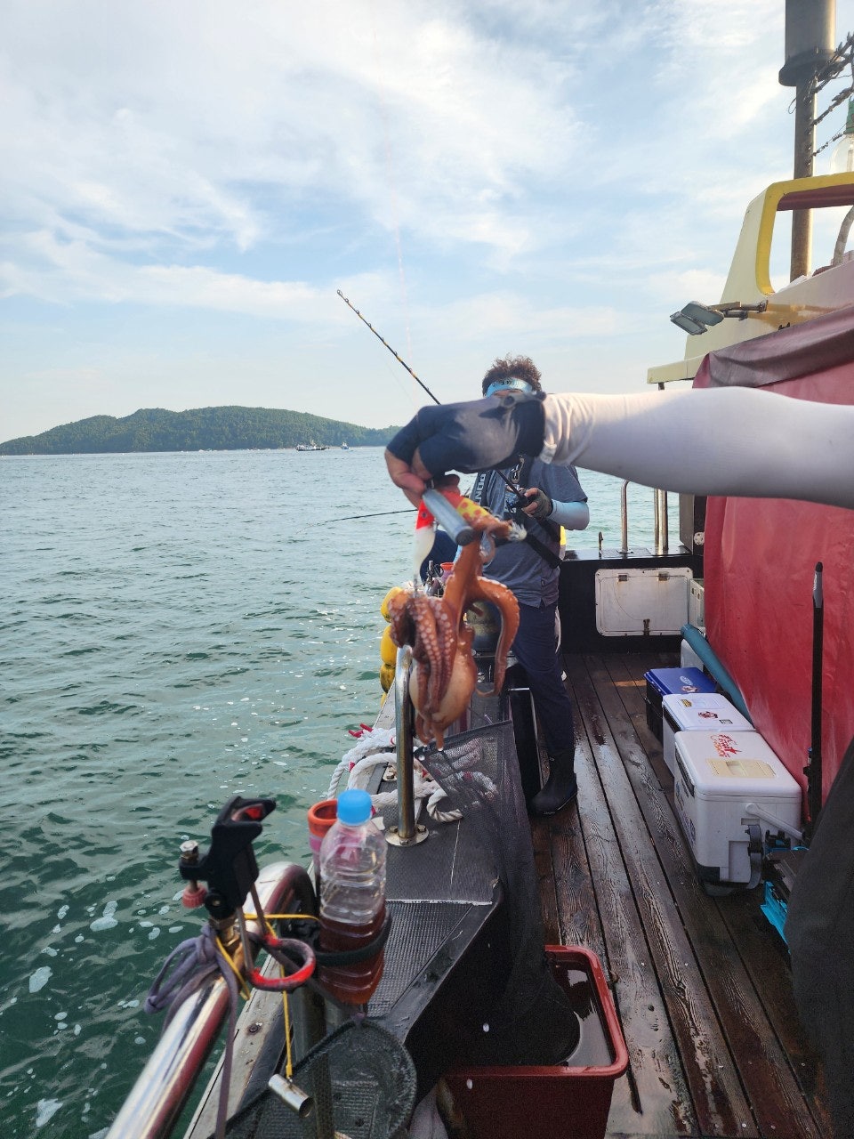 사용자가 올린 이미지