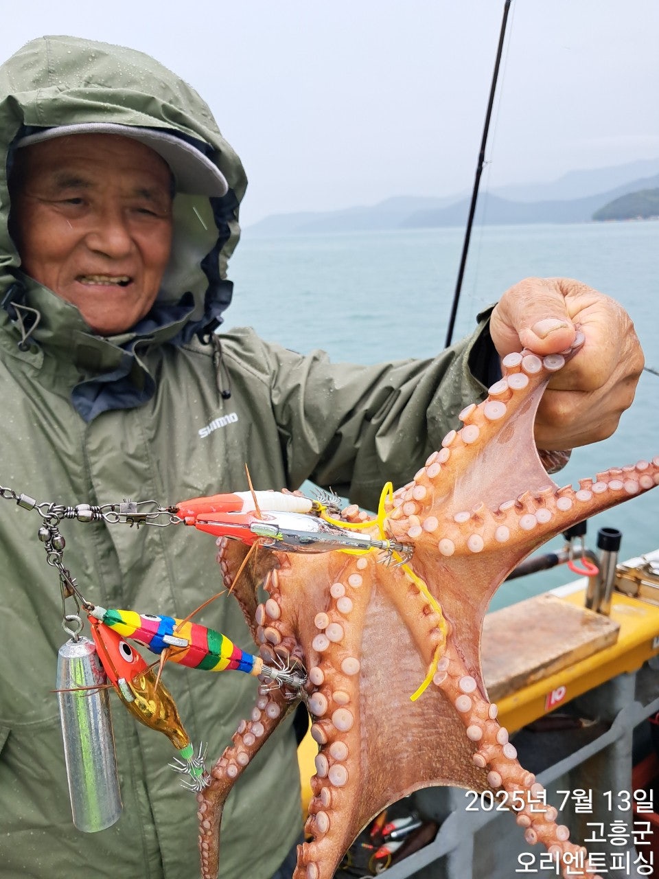 사용자가 올린 이미지