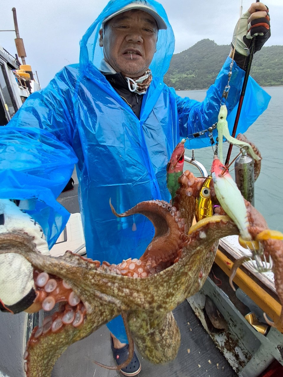 사용자가 올린 이미지