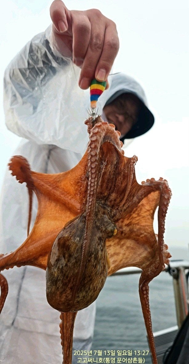 ڰ ø ̹