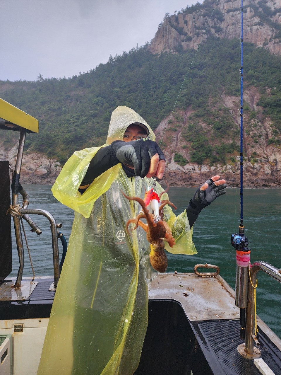 사용자가 올린 이미지