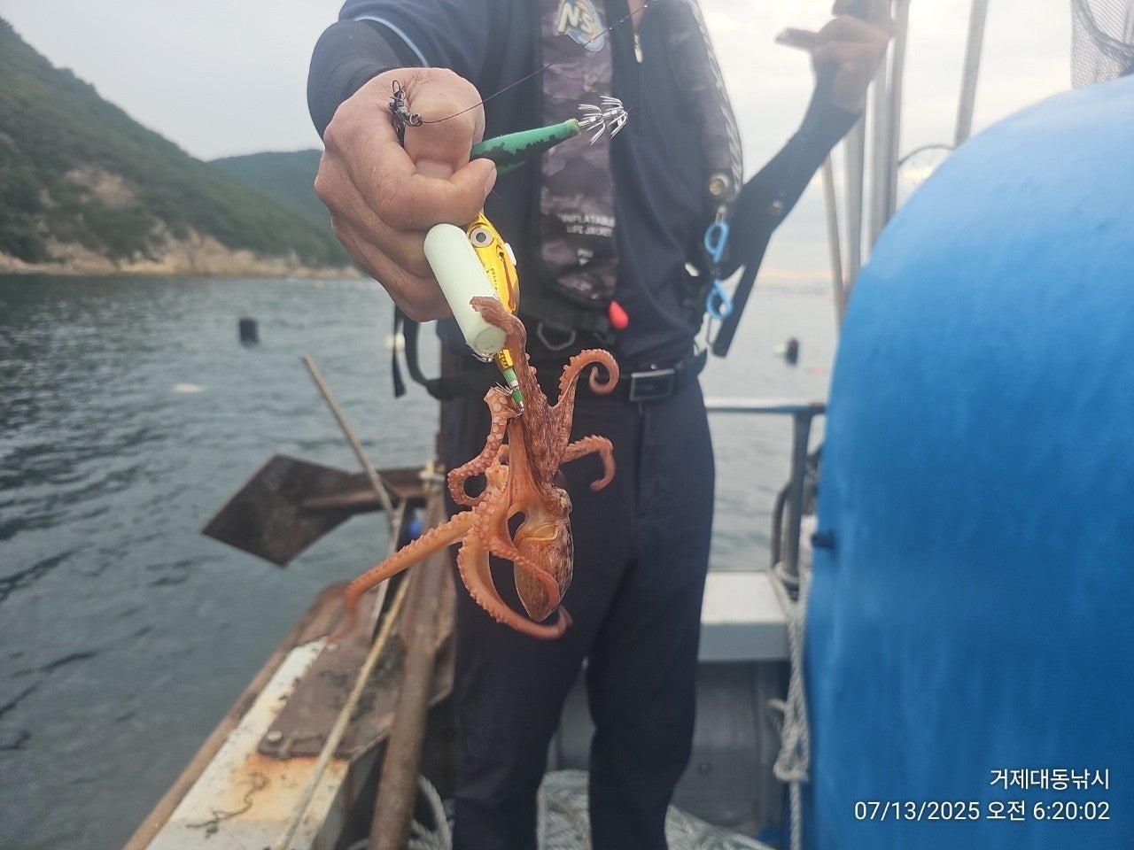 사용자가 올린 이미지