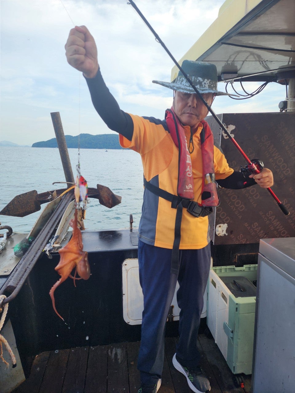 사용자가 올린 이미지