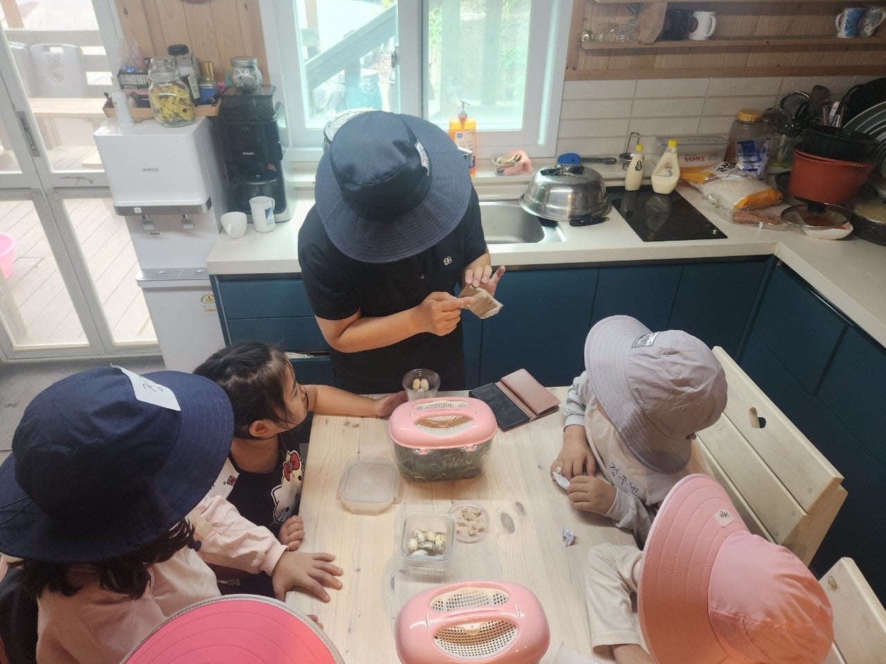 사용자가 올린 이미지