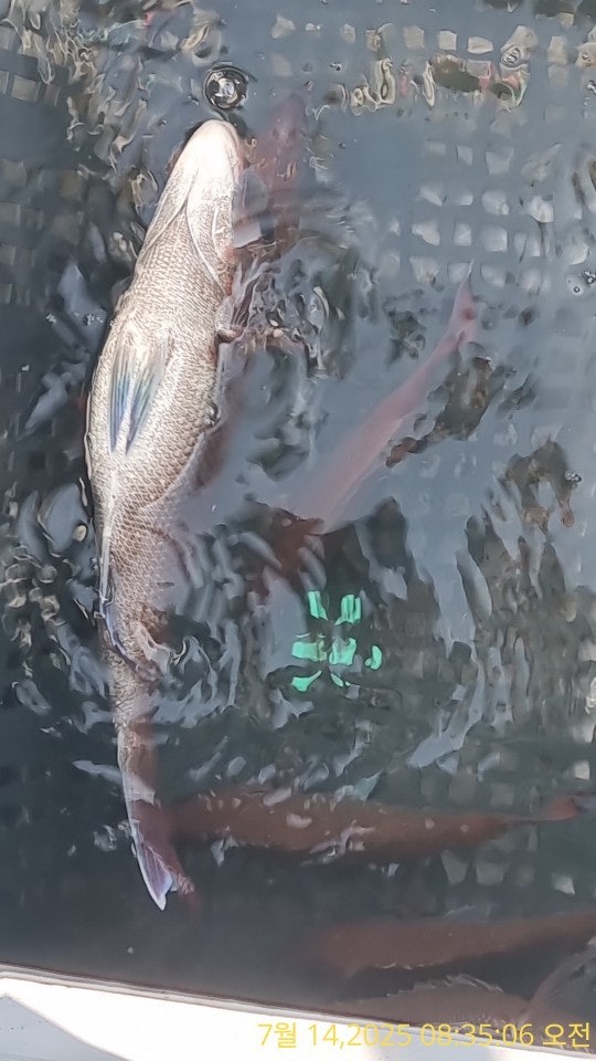 ڰ ø ̹