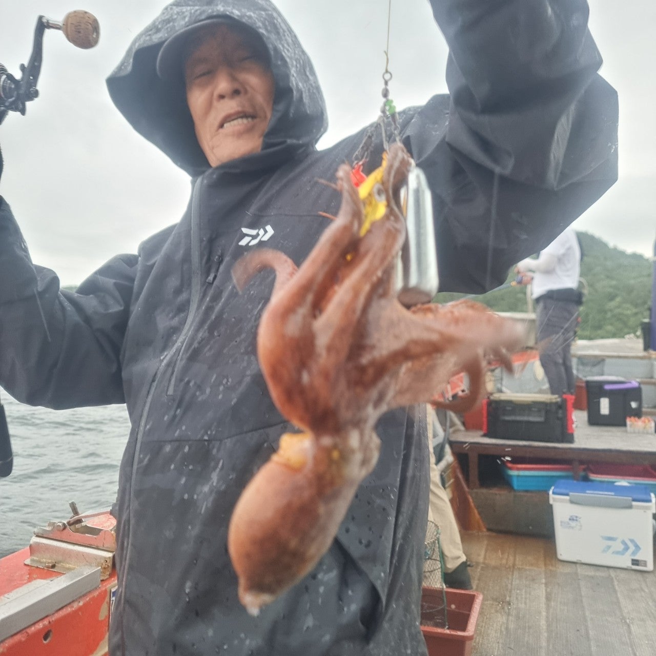 사용자가 올린 이미지