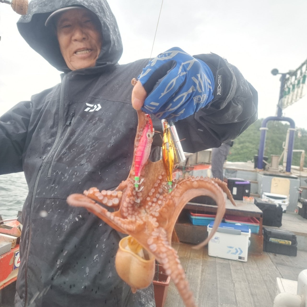 사용자가 올린 이미지