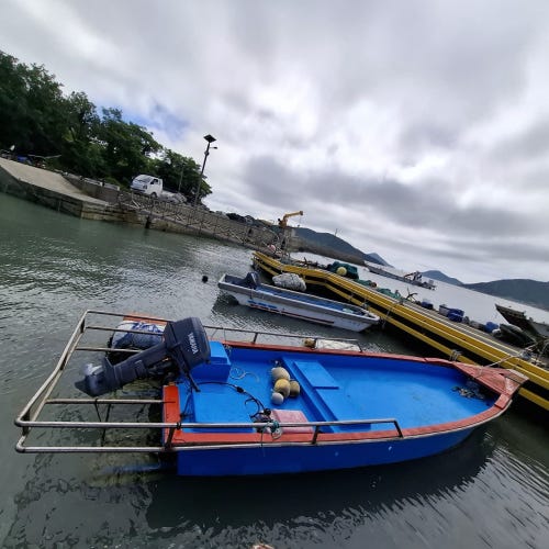 전라남도