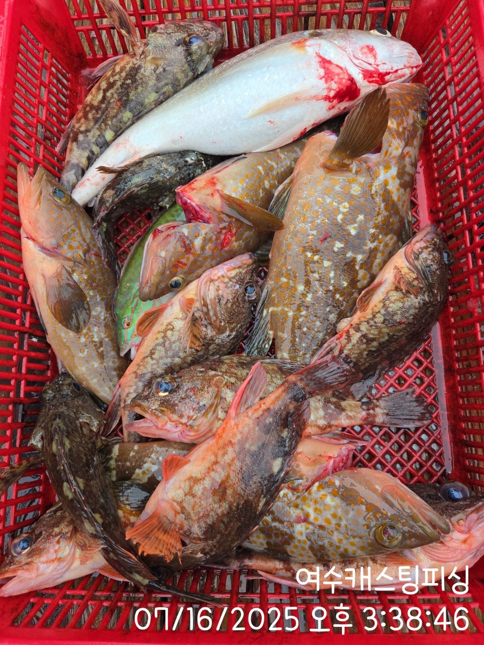 사용자가 올린 이미지