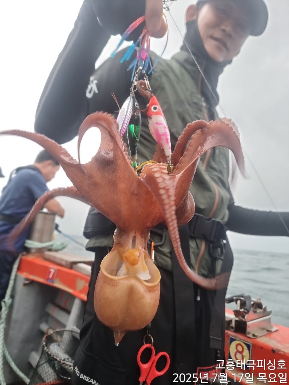 사용자가 올린 이미지