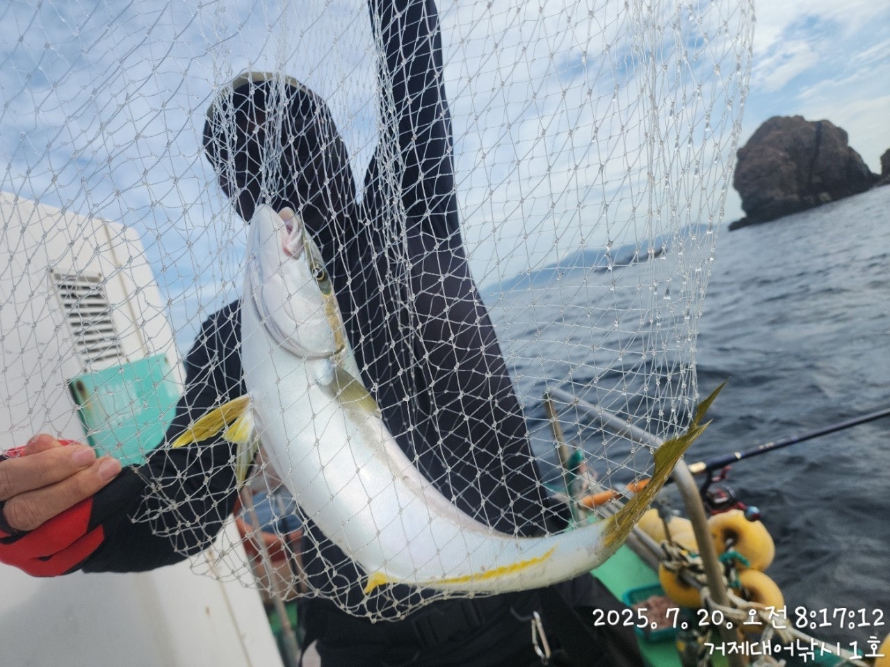 사용자가 올린 이미지