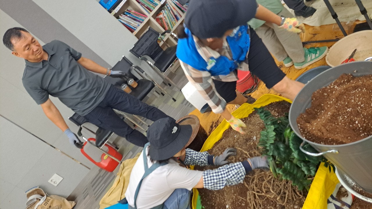 사용자가 올린 이미지