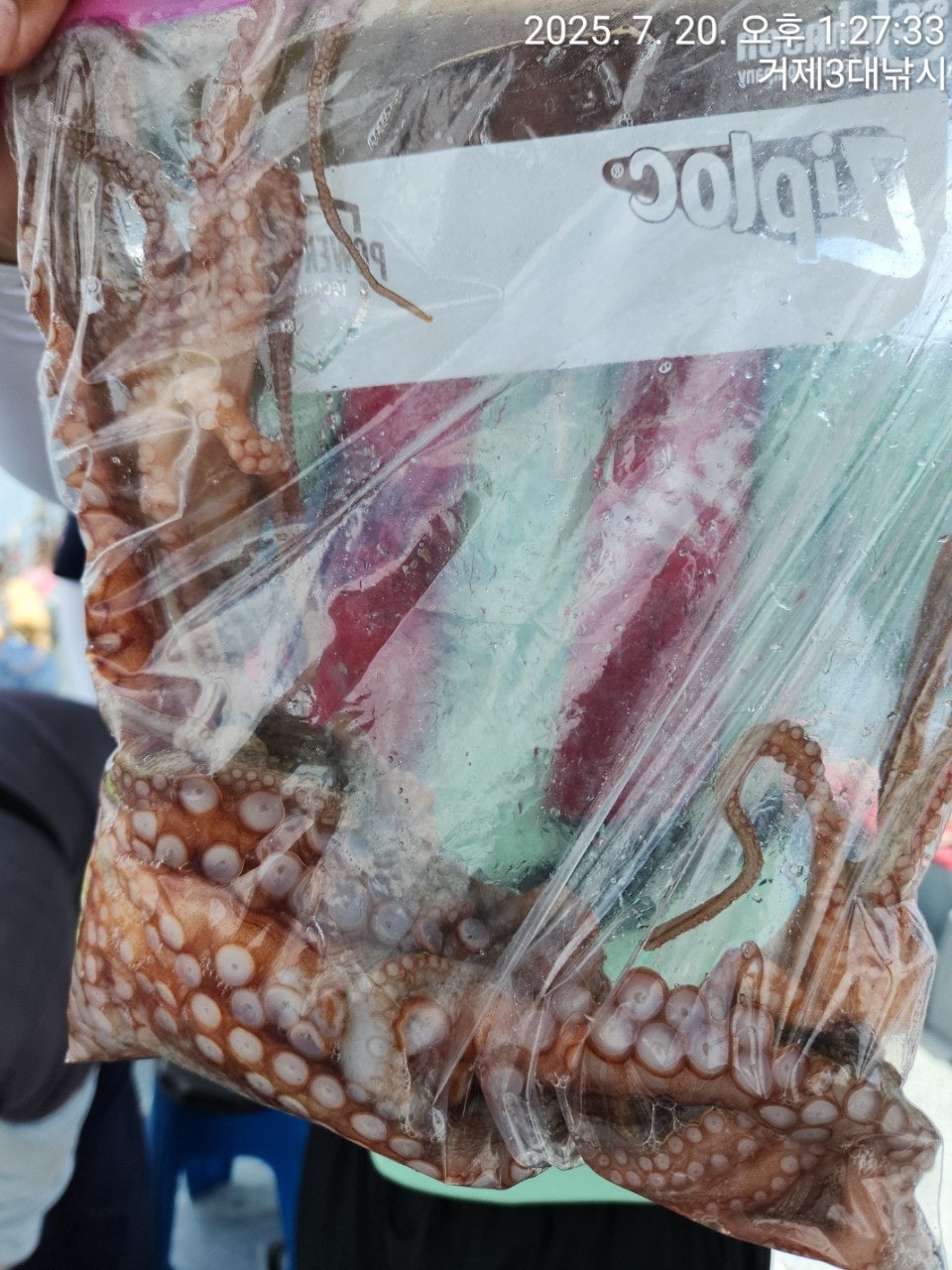 사용자가 올린 이미지