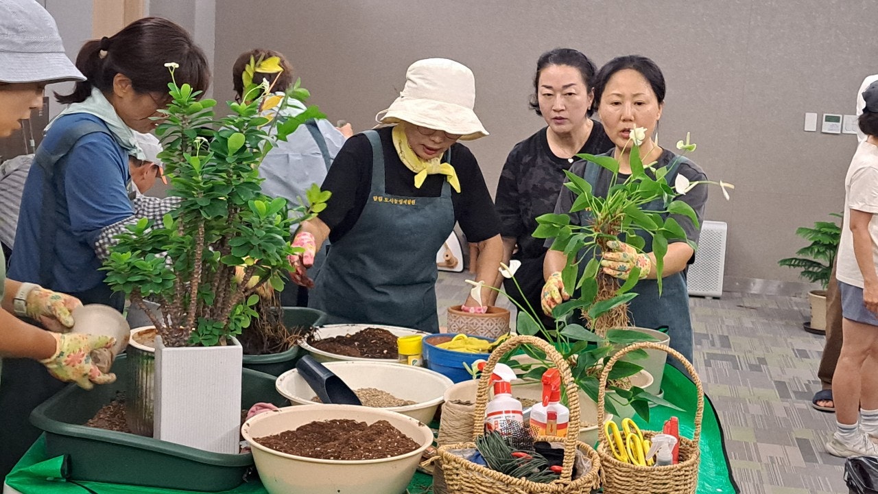 사용자가 올린 이미지