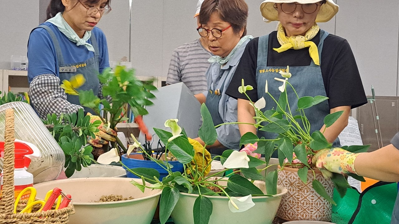 사용자가 올린 이미지