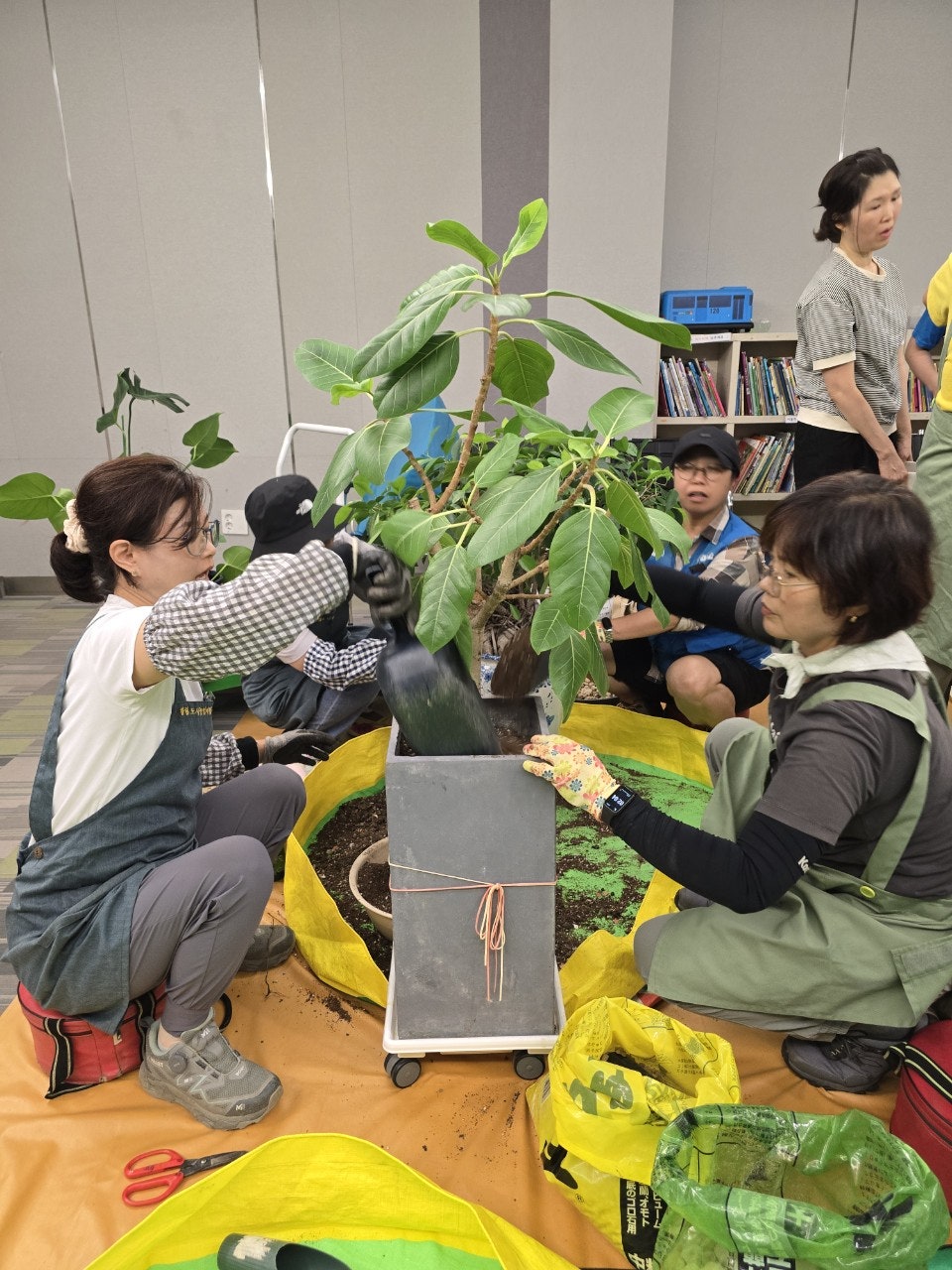 사용자가 올린 이미지