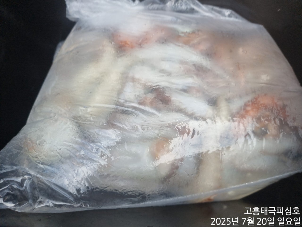 사용자가 올린 이미지