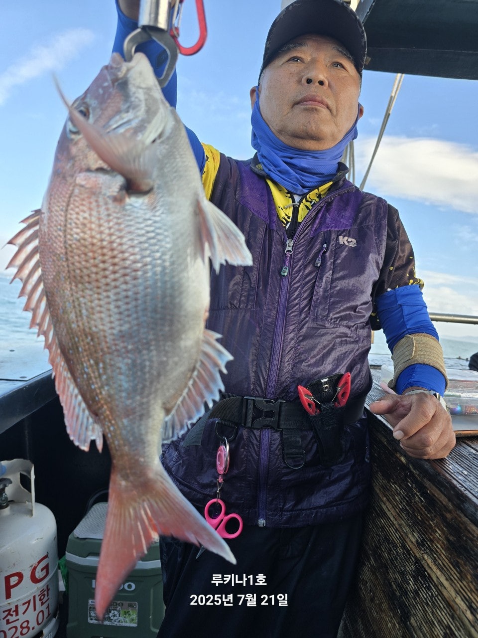 사용자가 올린 이미지