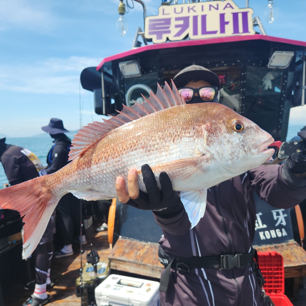 사용자가 올린 이미지