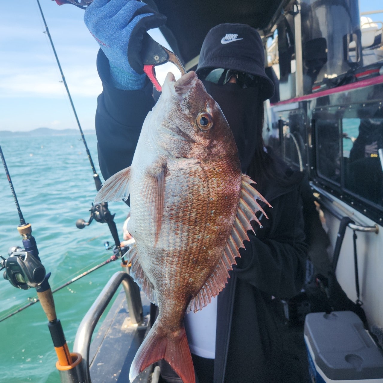 사용자가 올린 이미지