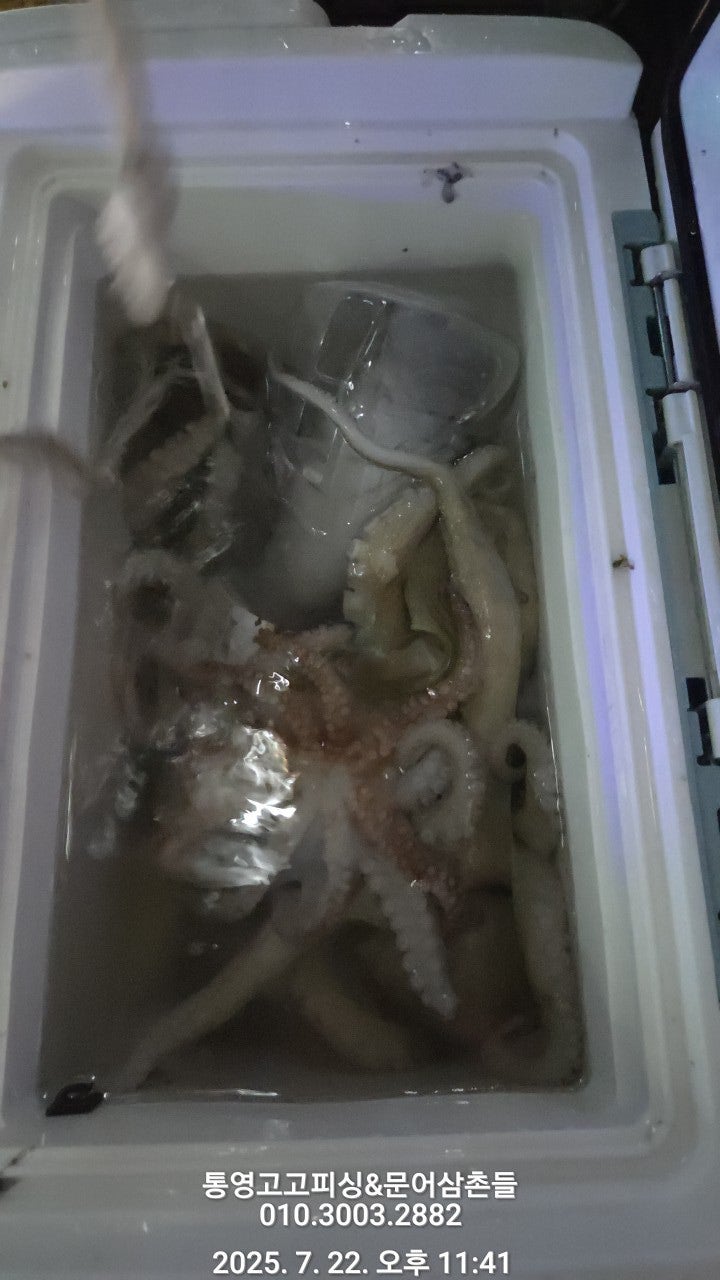ڰ ø ̹
