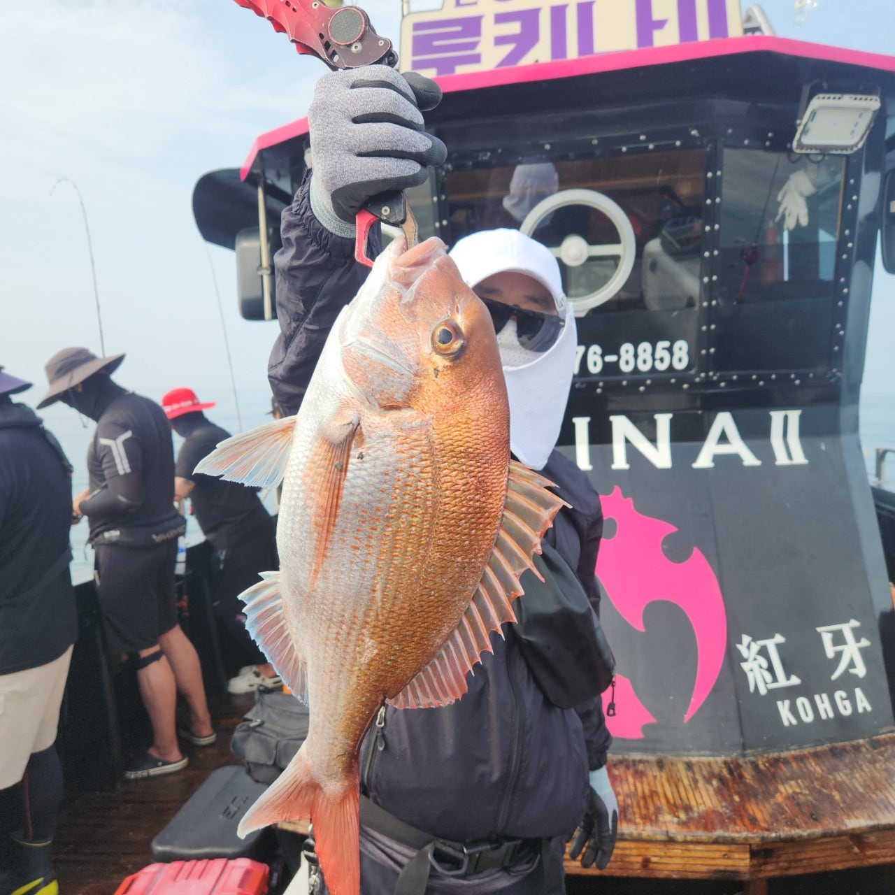 사용자가 올린 이미지