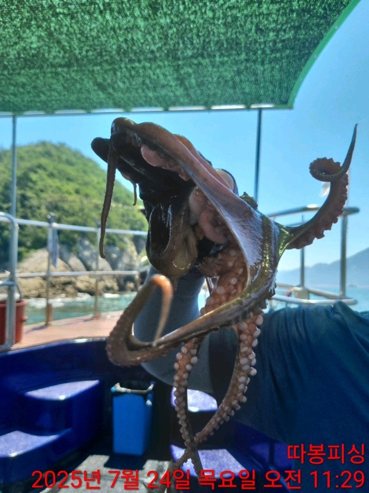 사용자가 올린 이미지