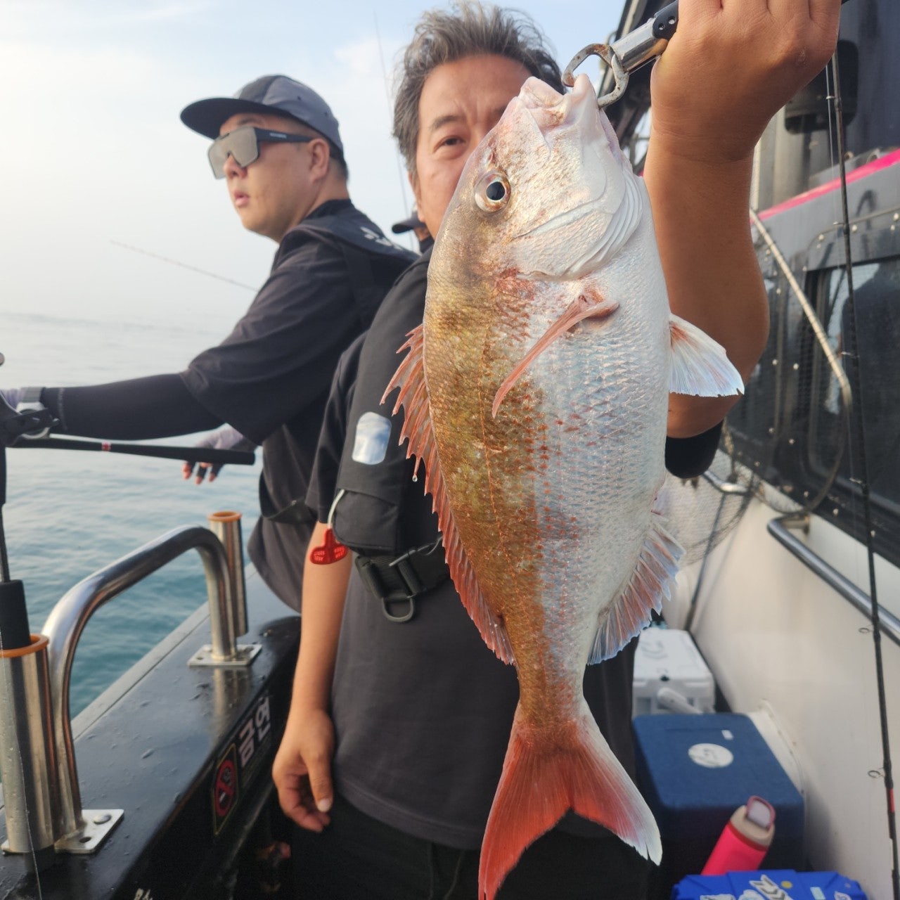 사용자가 올린 이미지