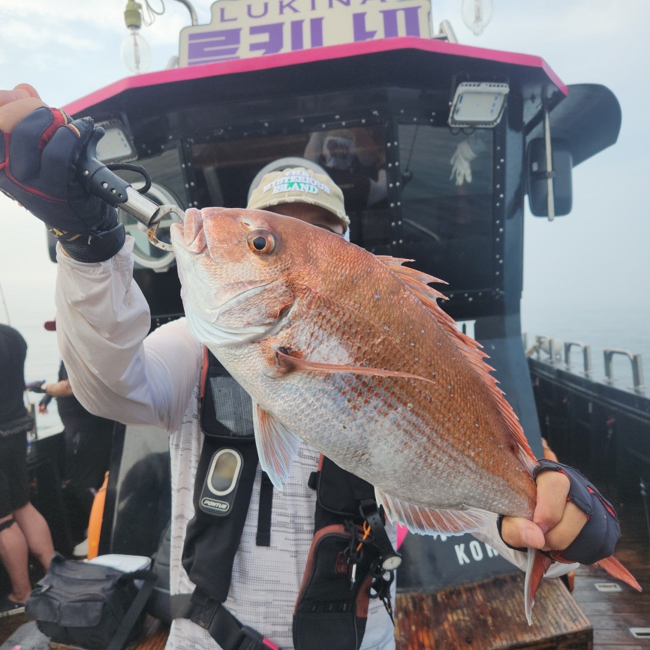 사용자가 올린 이미지